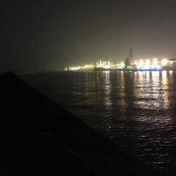 青物狙い!のはずが、、、