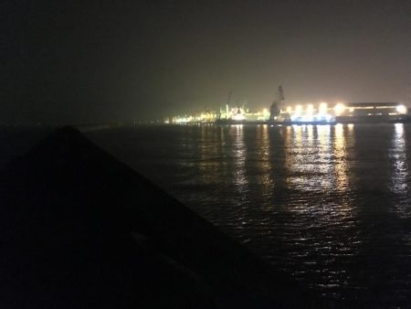 青物狙い!のはずが、、、