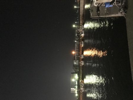 風風風＝シーバス。