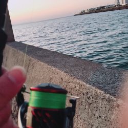 風がない日は、太刀魚に限ります。