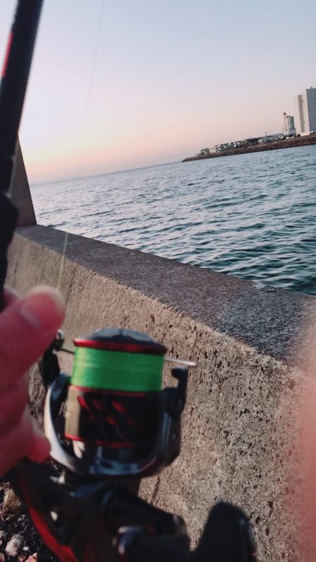 風がない日は、太刀魚に限ります。