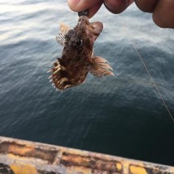 四日市港でライトワインド