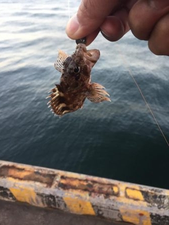 四日市港でライトワインド