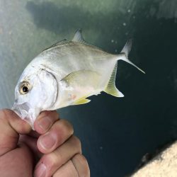 初ダブルメッキ！