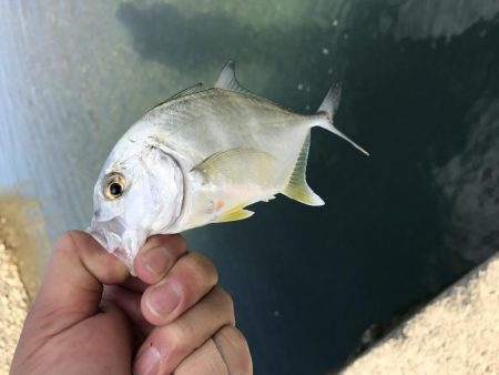 初ダブルメッキ！