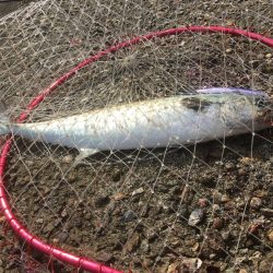 休みの日釣り三昧♫