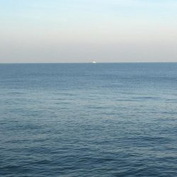 潮が動かんとキツイな〜！