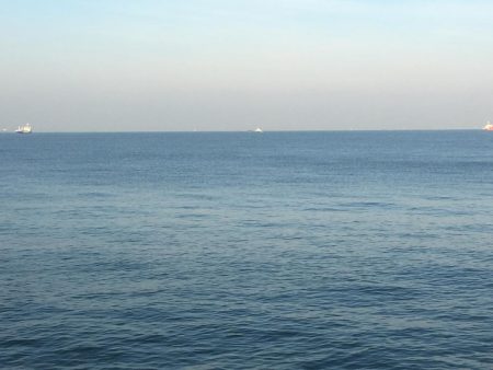 潮が動かんとキツイな〜！