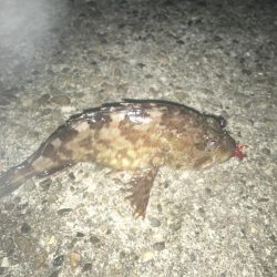 強風と濁りの中、攻略成功♫