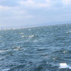 強風の中朝練♫