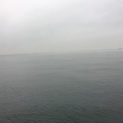 ドラゴンゲット♫