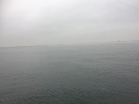 ドラゴンゲット♫