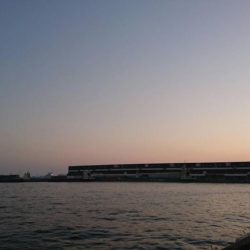 タチウオつれず、グレが。