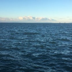 人が多い、、、