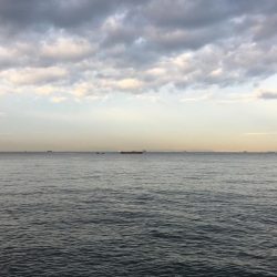 渋くても釣りますよ〜♫