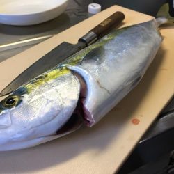 ショアジギング