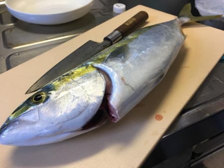 ショアジギング