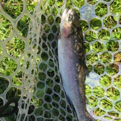 久しぶりの管理釣り場！でも渋かった！！