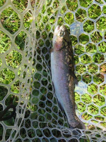 久しぶりの管理釣り場！でも渋かった！！