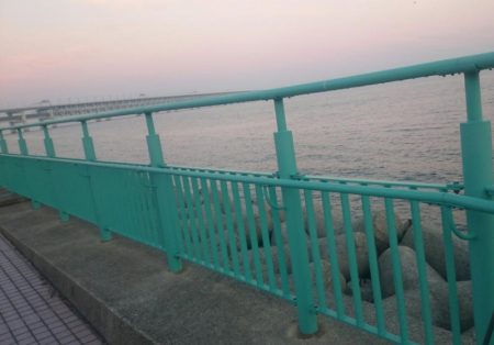 ハマチゲット！