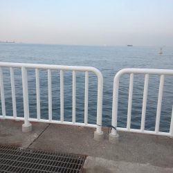 時合いはどこへやら