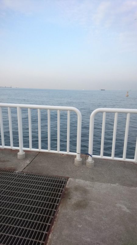 時合いはどこへやら