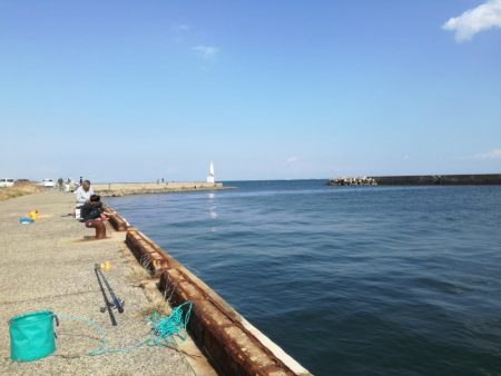 餌なしサビキでサッパ釣り