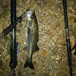 お祭りは続いてた。