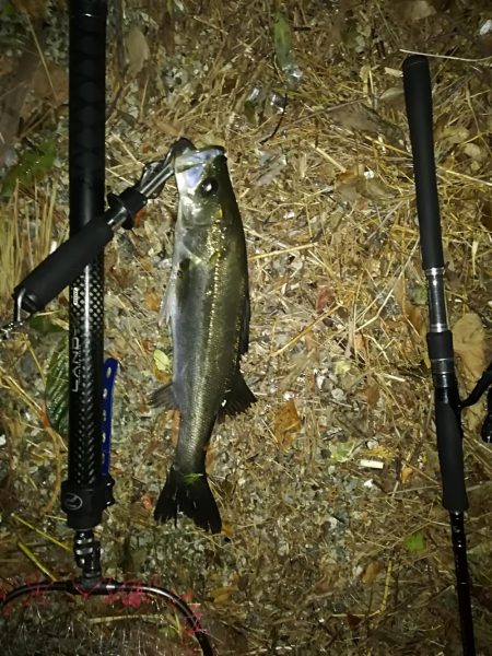 お祭りは続いてた。