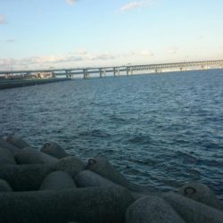 荒れ気味でもハマチゲット!