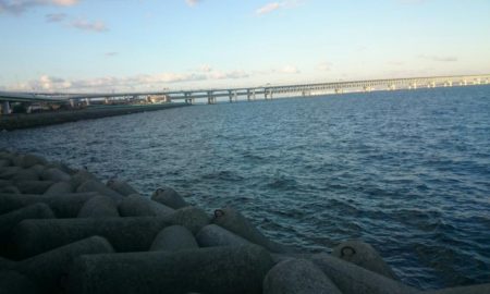 荒れ気味でもハマチゲット!