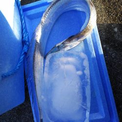 ホクシン前にてメジロ