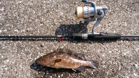 深夜から夕方まで休憩とりながら各所ランガンスタイルで