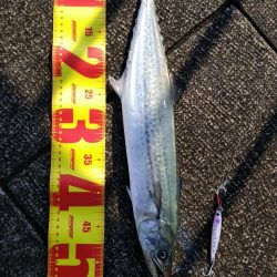 激寒で激渋の朝