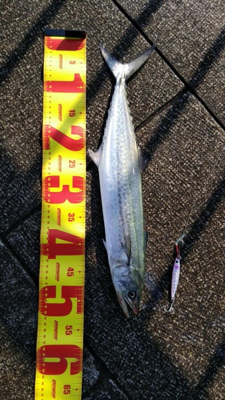 激寒で激渋の朝