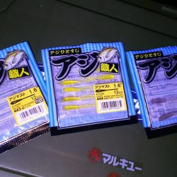 愉しいアジング！！