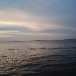 タチウオ絶好調！