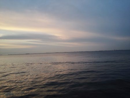 タチウオ絶好調！