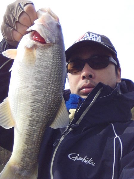 冬間近ですが青野バスは元気です。