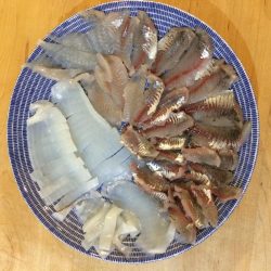 先週と同じ場所