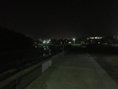 コウイカ入れ食い