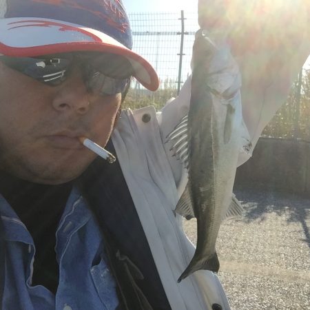 東扇島が封鎖されていたため、浮島で釣りました。