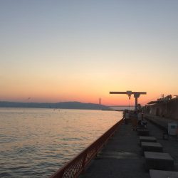 続・チャリコ祭り