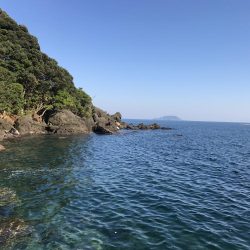 久しぶりのエギング