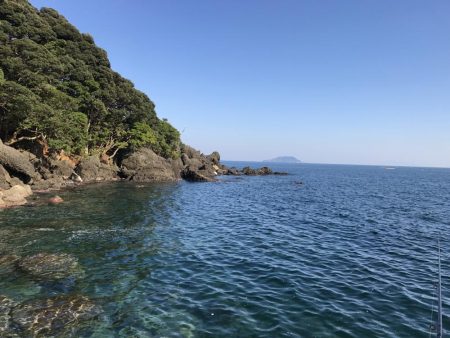 久しぶりのエギング