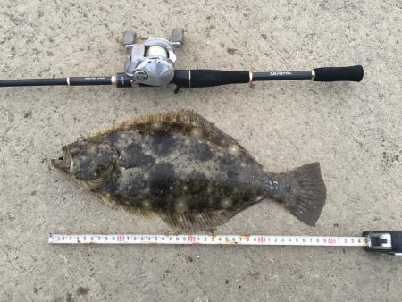 大物にビックリ