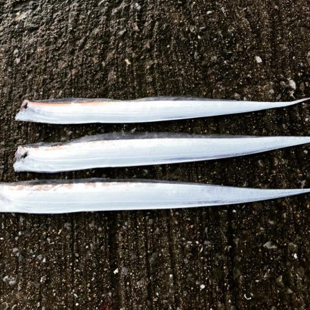 開園と同時の釣行