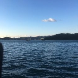 ウチノ海筏でダンゴ&ナブラ祭り