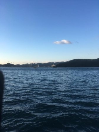 ウチノ海筏でダンゴ&ナブラ祭り