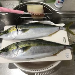 明石沖ジギング